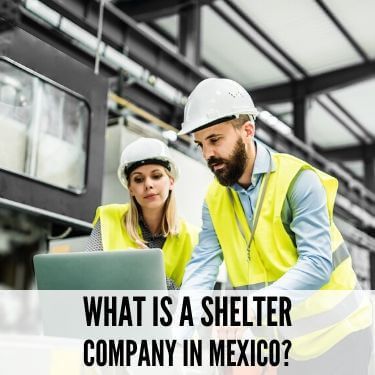 Employees overseeing manufacturing operations review the data provided by their shelter company.